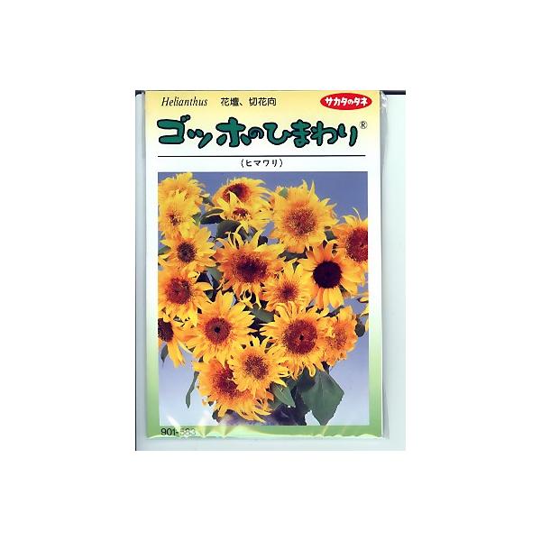 サカタのタネ ひまわり Diy 工具の人気商品 通販 価格比較 価格 Com