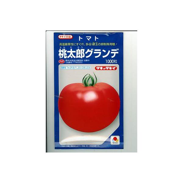 ^LCz@YOf@^LCc̃g}giłB̒ʔ̂ȂO[f|