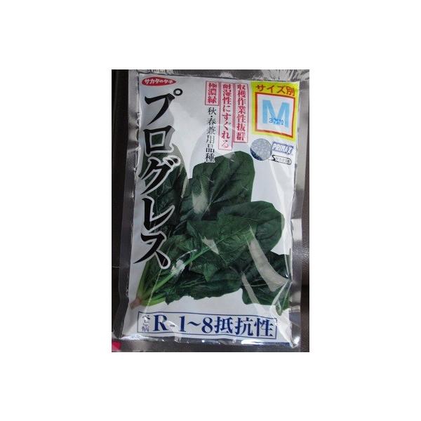 ق񑐁@TJ^z@vOXzE\E@@TJ^̃^l̂ق񑐕iłB