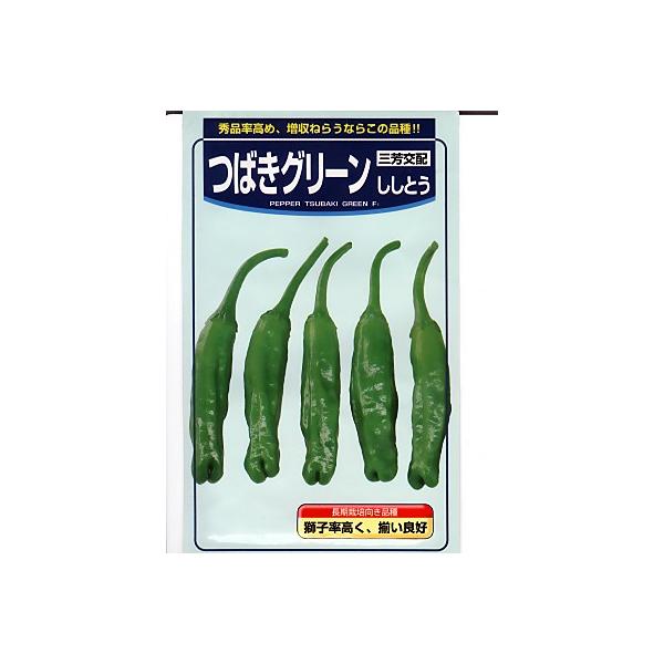 VVgE̎@OFzEEE΂O[EEẼVVgE̎łB̂ƂȂ炨CO[f|