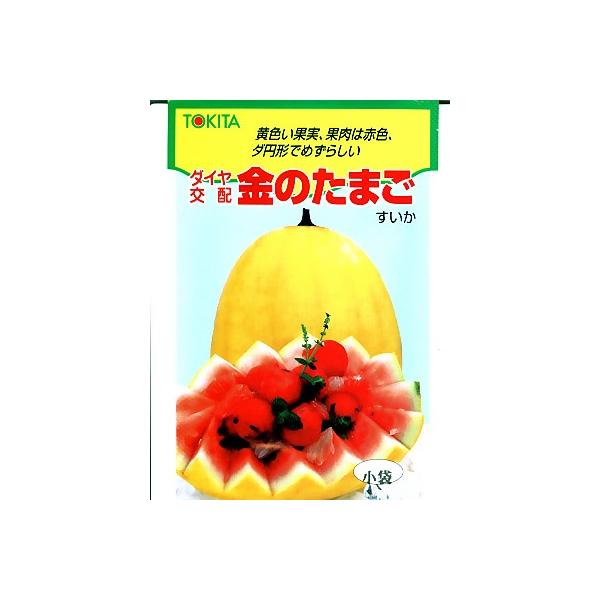 XCJ̎@_CzEEÊ܂EEEgL^c̏ʃXCJłB̂ƂȂO[f|