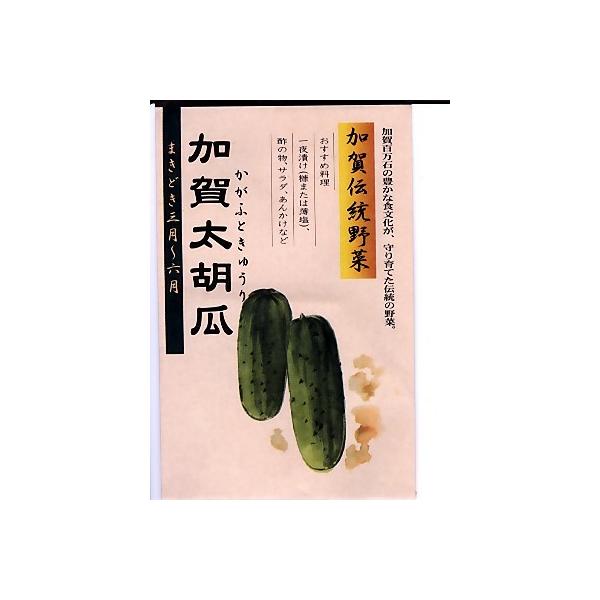 送料無料 新品 Rf 北進 種苗 種もりタキイ種苗 胡瓜 キュウリ 園芸ショップ 果菜