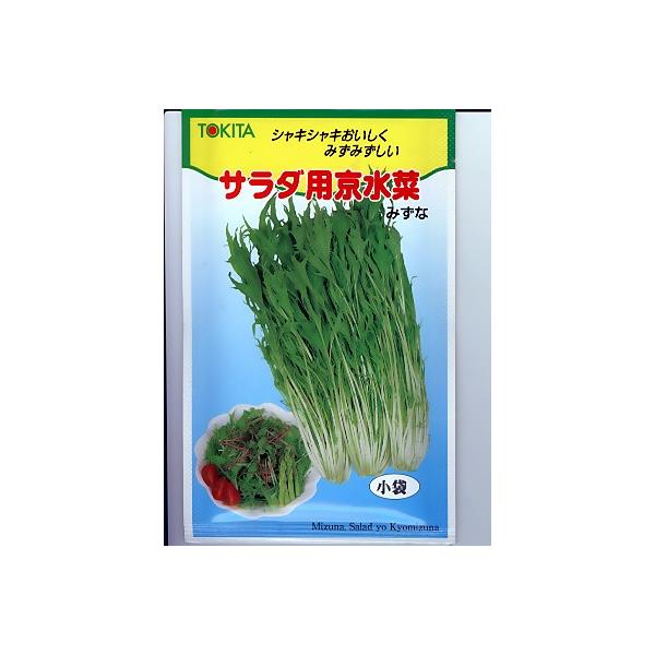 ~Yi@gL^cEEET_p؁EEEgL^̃~YiqłB̂ƂȂO[f|