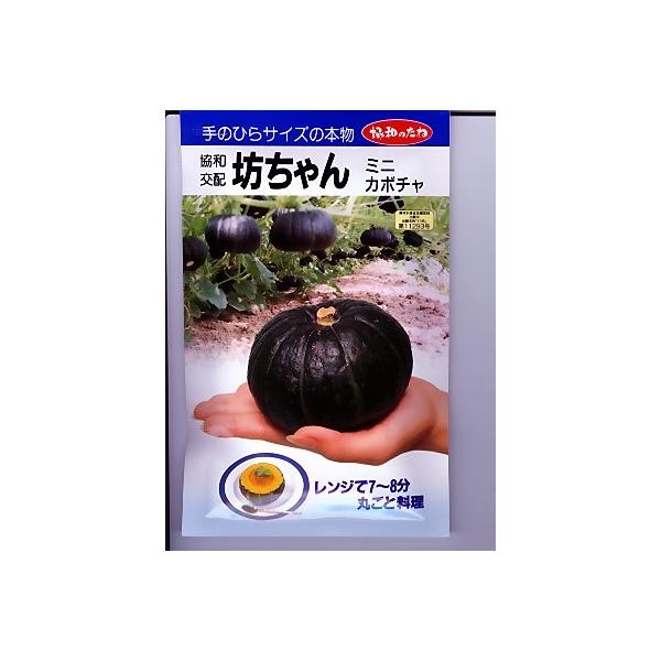 ~jJ{`@V@@@o^i@݂ǋã~jJ{`iłB̂ƂȂO[f|