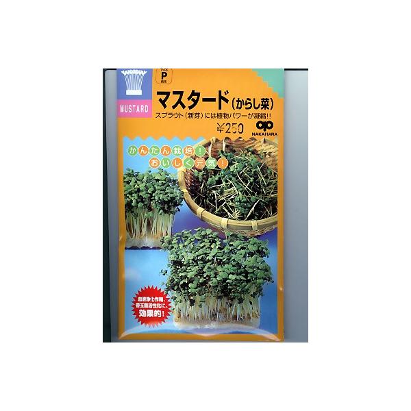 XvEg@}X^[hi炵؁jXvEgp̃}X^[hqłB