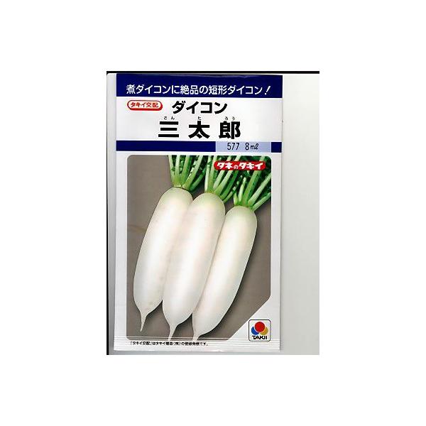 green-depo-1_a0763 green-depo-1_a0763