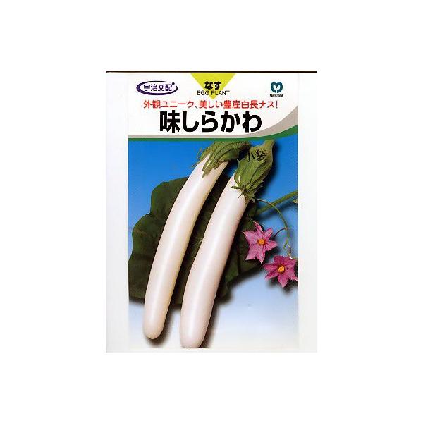 iX@Fz@炩@@ێ̃iXqłB