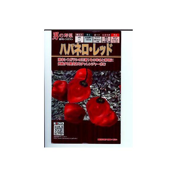 nolEbh@@gL^c̃gEKVłB̒ʔ̂ȂO[f|