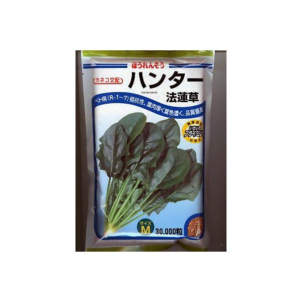 zE\E@JlRz@n^[@@@JlRĉق񑐎łB