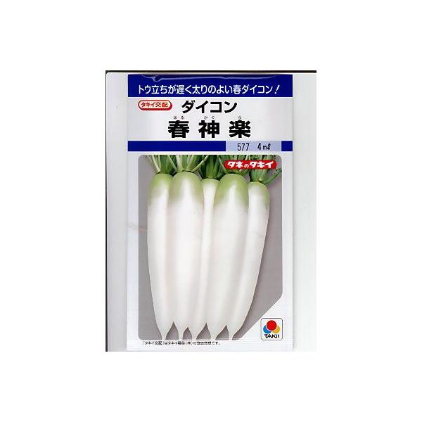 タキイ交配 春神楽大根 タキイ種苗の大根種子です。 : GREEN DEPO
