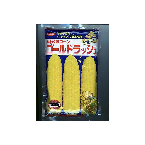 種 ゴールドラッシュの人気商品・通販・価格比較 - 価格.com 種 ゴールドラッシュの人気商品・通販・価格比較 - 価格.com
