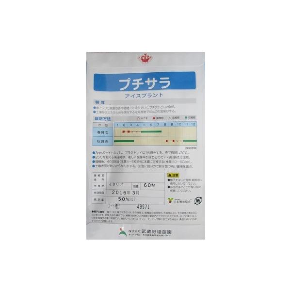 アイスプラント プチサラ 武蔵野種苗園のアイスプラント種子です Buyee Servicio De Proxy Japones Buyee Compra En Japon