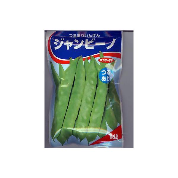 CQ@邠肢񂰂@Wr[m@TJ^̃^l̂邠CQi