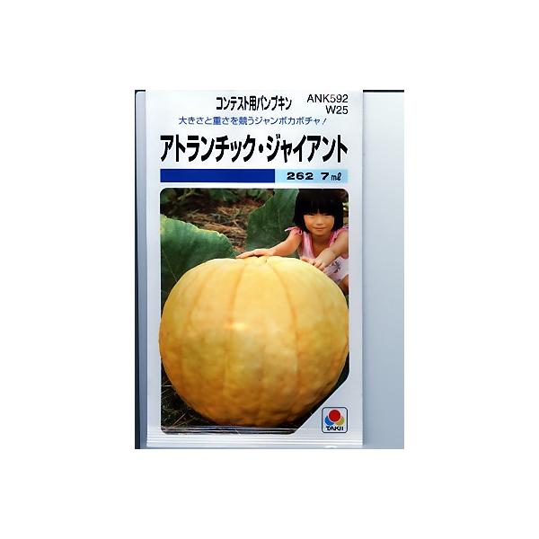 J{`@Ag`bNEWCAg  ^LCc̃W{J{`̎łB