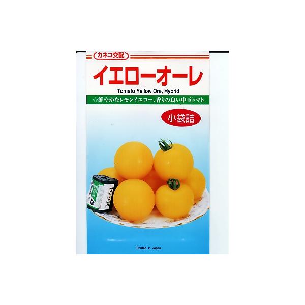 g}g@JlRz@CG[I[@JlRc̒ʃg}g̎