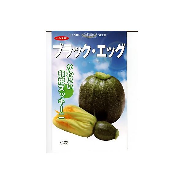 ズッキーニ 種 みんな探してる人気モノ ズッキーニ 種