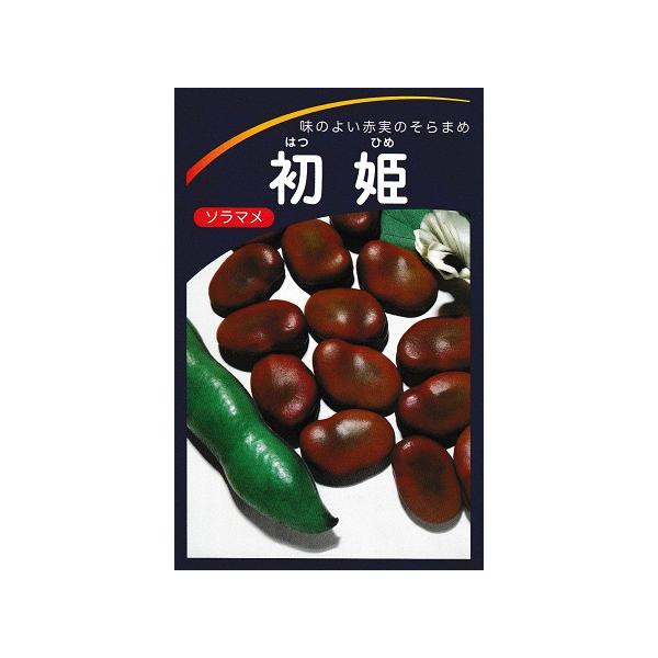 ソラマメ 珍しい赤そら豆！ 初姫 みかど協和の蚕豆種です。 : GREEN