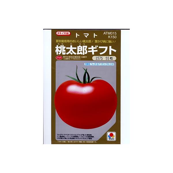 ^LCz@YMtg@@^LCc̓Yg}gV[Ỹg}gqłB̂ȂO[f|