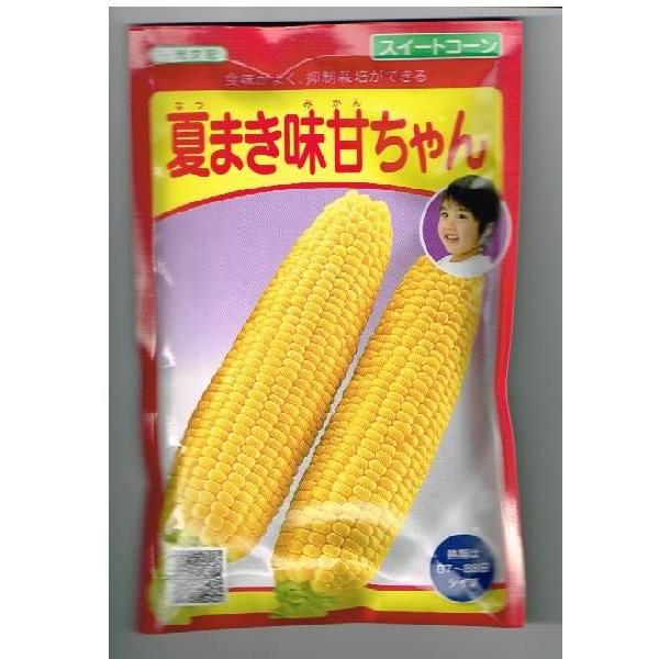 gERV@Ă܂Â@c̃gERVił