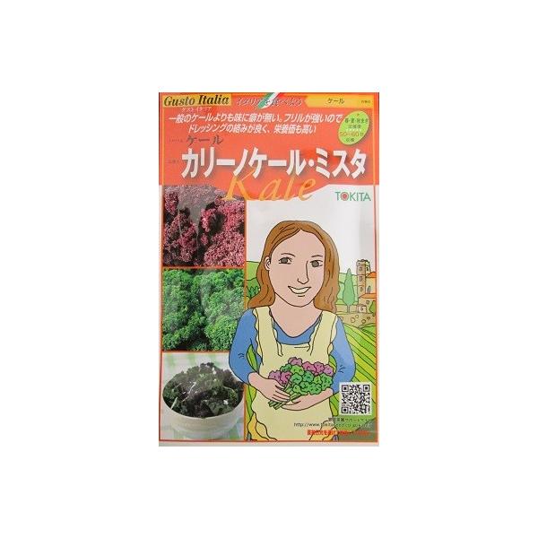 P[@@J[mP[E~X^@gL^c̃QXgC^AV[ỸP[łB