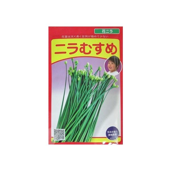 武蔵野種苗園 ハナニラ ニラむすめ 武蔵野種苗園のハナニラの種です Buyee Buyee 日本の通販商品 オークションの代理入札 代理購入