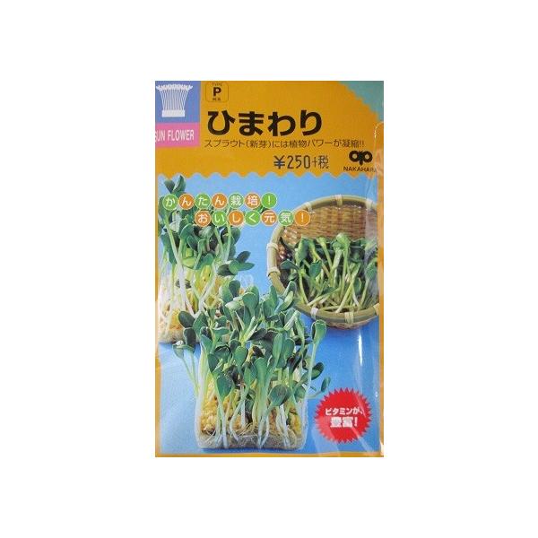 XvEg@Ђ܂@XvEgp̂Ђ܂qłB