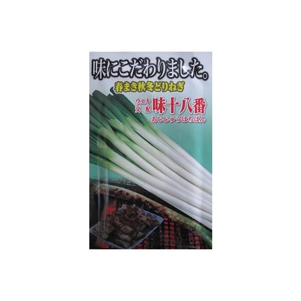 EGLz@\ԁ@lA؂̈{lMiłB@i܁j