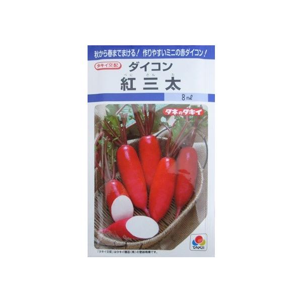 ^LCz@gO_CR@@@@^LCc̃~j卪iłB