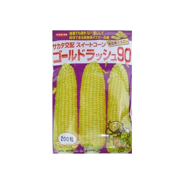 サカタのタネのゴールドラッシュ９０は、中晩生のトウモロコシ品種です。とても根っこが良く張るので、倒伏に非常に強いです。倒伏した場合でも回復力が強いです。台風や強風が多い地域におすすめです。秀品率がかなり高くて、先端まで実がしっかりと入るタイ...
