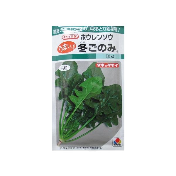 野菜種　ちぢみほうれん草の種