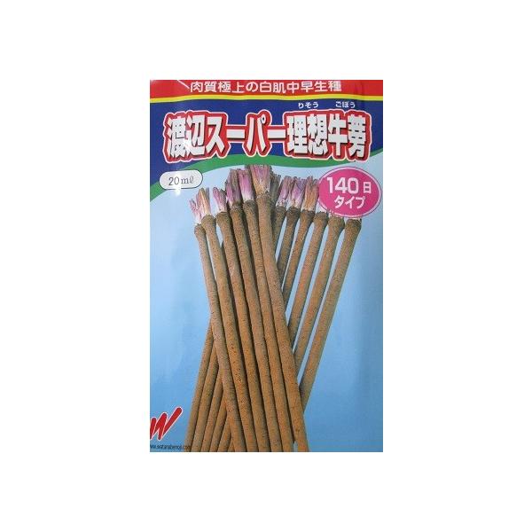 nӃX[p[z@@nӔ_̃S{EiłB