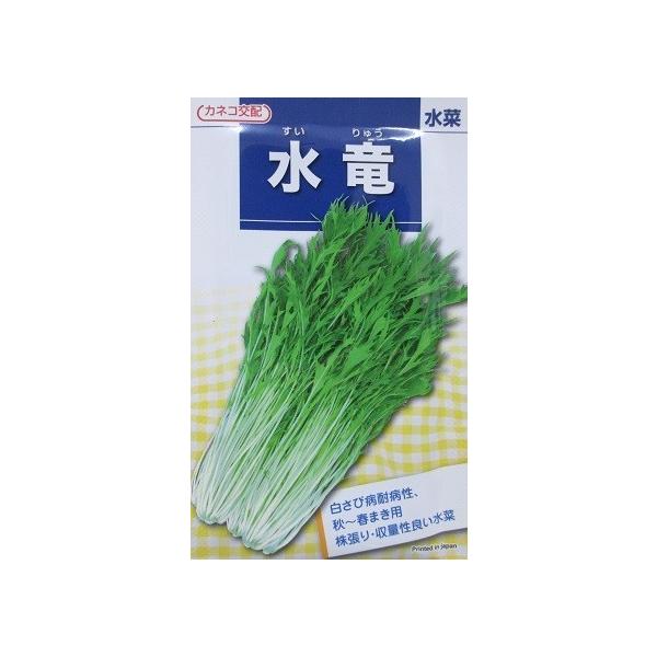 JlRz@؁@JlRc̃~YiiłB2Ki