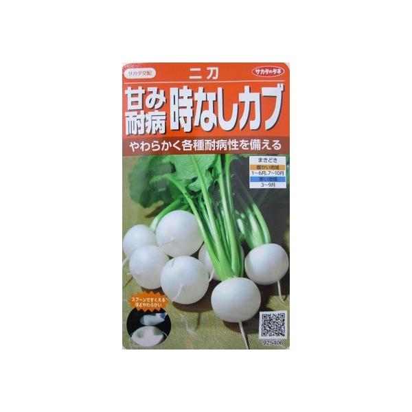 TJ^z@񓁃Ju@TJ^̃^l̃Jui@