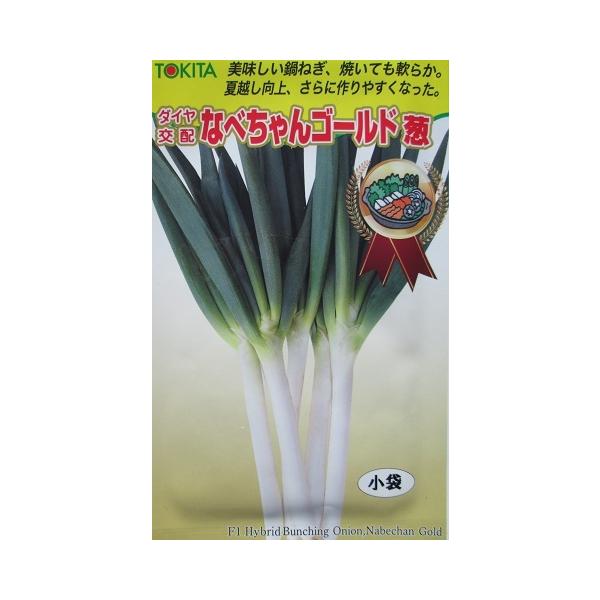 ダイヤ交配 なべちゃんゴールド葱 トキタ種苗のネギ品種 : GREEN DEPO