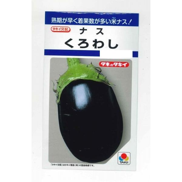 なす くろわし 60粒 タキイ種苗 （株）DF : グリーンロフトネモト