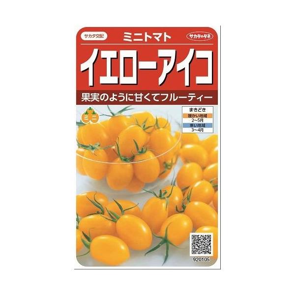 野菜種　ミニトマト　イエローアイコ果肉が厚くてゼリーが少ない長卵型のミニトマトです。種・苗・農業資材品揃え豊富！農家さん御用達のお店　グリーンロフトネモト