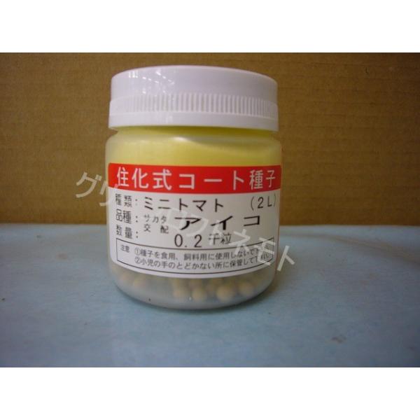 g}g ~jg}g ACR 2L ybgq 200 ijTJ^̃^l