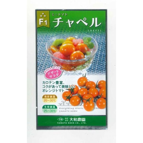 g}g ~jg}g `yg}g 25 ija_