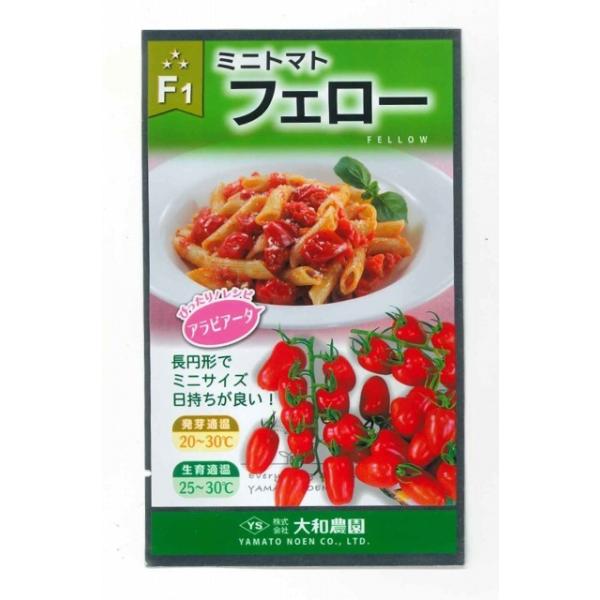 g}g ~jg}g tF[g}g 25 ija_