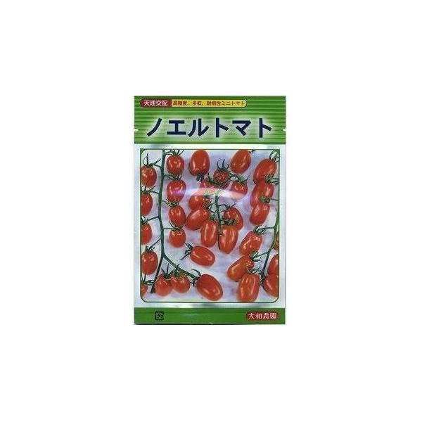 g}g ~jg}g mGg}g 18 ija_