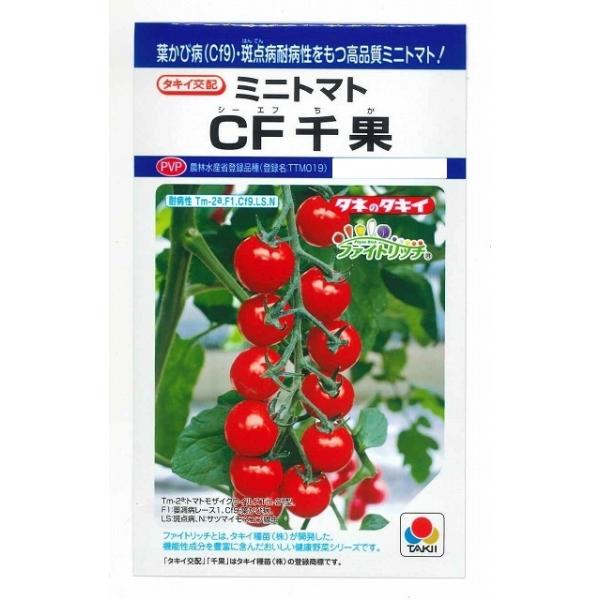 野菜種　ミニトマト　CF千果減農薬！家庭菜園の味方！種・苗・農業資材品揃え豊富！農家さん御用達のお店　グリーンロフトネモト