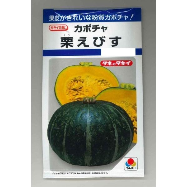 野菜種　かぼちゃ　栗えびす早どりが出来て２番果でも食味がよいと評判です。種・苗・農業資材品揃え豊富！農家さん御用達のお店　グリーンロフトネモト