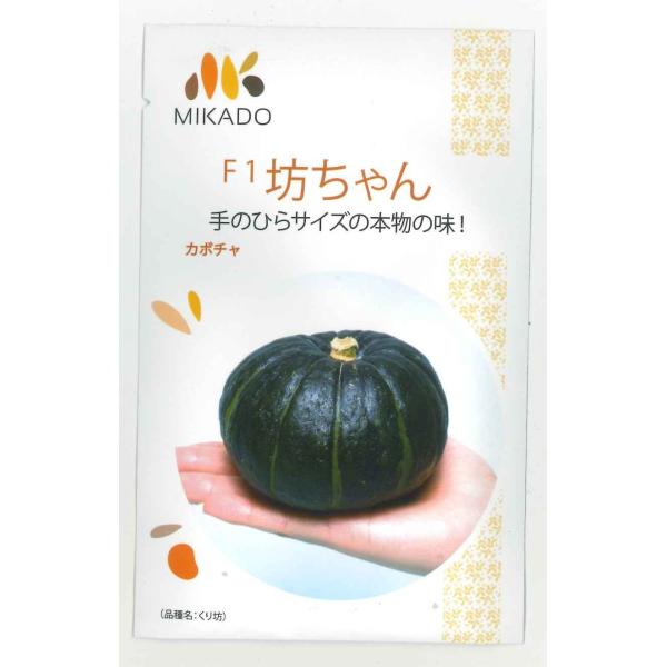 野菜種　かぼちゃ　坊ちゃん手の平サイズで、食べるのがもったいないくらい可愛いです。種・苗・農業資材品揃え豊富！農家さん御用達のお店　グリーンロフトネモト