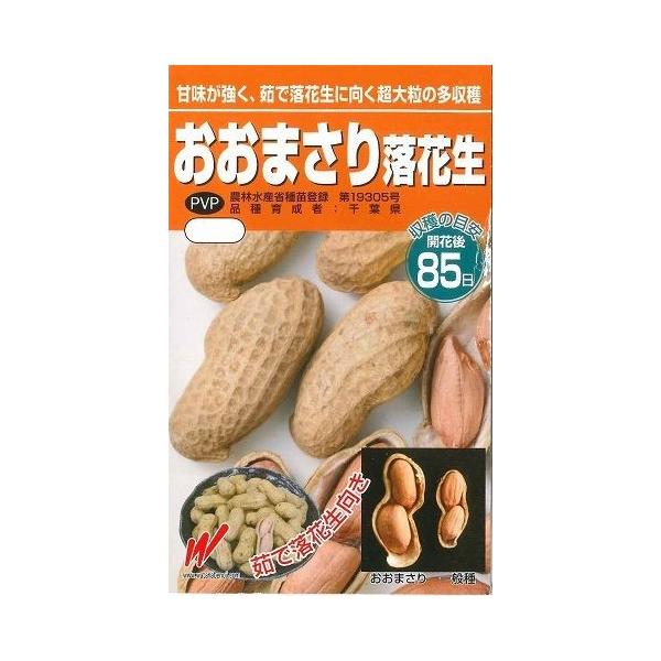 落花生 おおまさりの種 むき実 粒 渡辺農事 グリーンロフトネモト 通販 Yahoo ショッピング