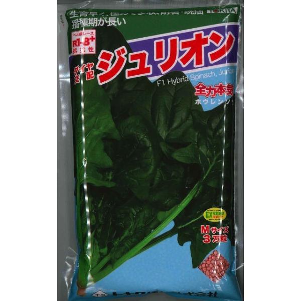 ق񂻂 WI 3(qTCY:M) gL^cij