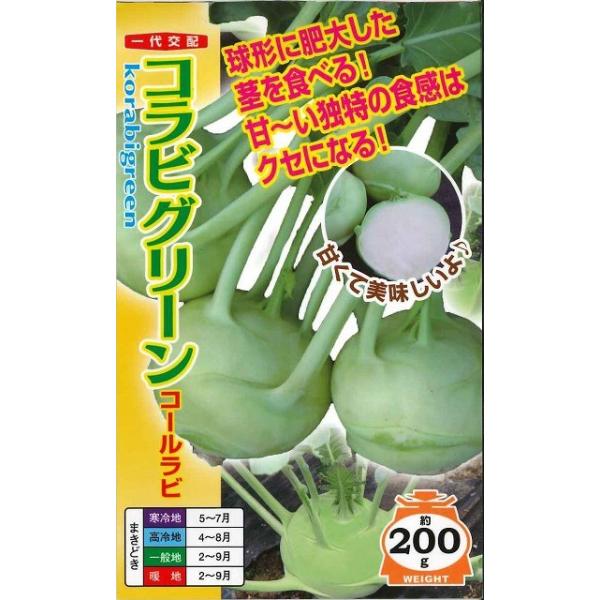 野菜種　コールラビ　コラビグリーンコールラビのグリーンです種・苗・農業資材品揃え豊富！農家さん御用達のお店　グリーンロフトネモト