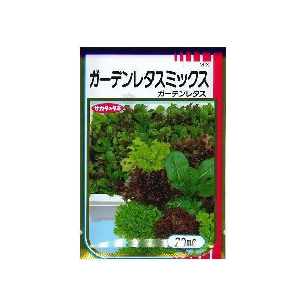 ^X K[f^X~bNX 20ml ijTJ^̃^l