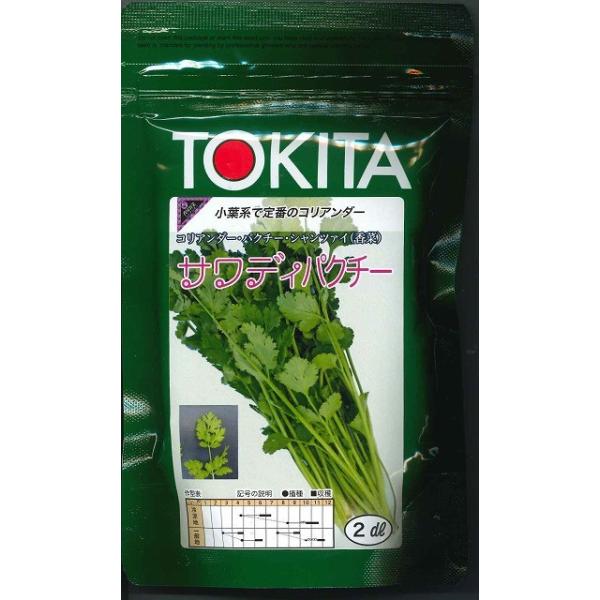 苗 コリアンダーの人気商品 通販 価格比較 価格 Com