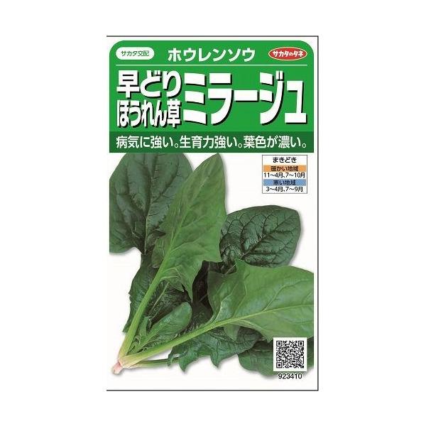 ق񂻂 ~[W 750 ijTJ^̃^l 250(003007)