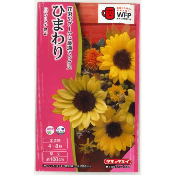 花の種 ひまわり サンリッチ混合 小袋 タキイ種苗（株） : グリーン